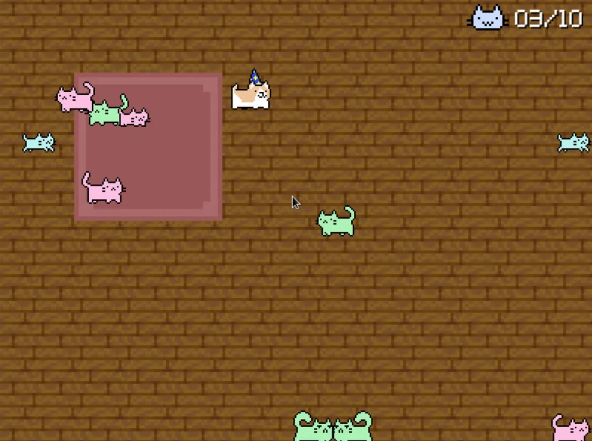Cat Chaser